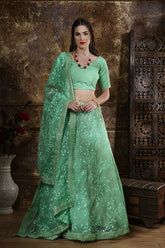 Organza Lehenga Choli